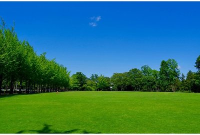 🌳 과학 만국 박람회 기념 공원(카가쿠 반파쿠 키넨 코엔)